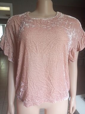 Current/Elliott Blush Pink Crushed Velvet Ruffle Sleeve Tee